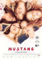 MUSTANG MUSTANG SK web