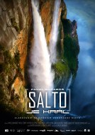 Salto je kráľ Salto poster small